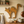 ALLEY CAT RUSTIC WOODEN WALL ART