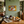 Kitchen counter with Marmite jar, eggs, toast, and a Marmite sign on the wall.
