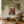 VINTAGE STYLE METAL SIGN WALL ART IN A KITCHEN SETTING WITH THE IMAGE OF THREE CHILLIS ON IT
