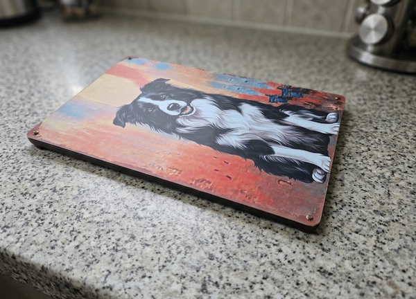 a Vintage style metal sign used as a display plinth, with a picture on it of a Border Collie in a sitting pose