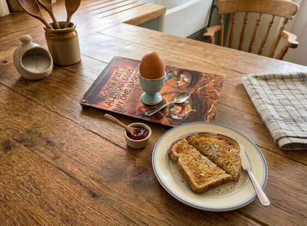 VINTAGE STYLE METAL SIGN (REPRODUCTION) DON'T PUT ALL YOUR EGGS IN ONE BASKET