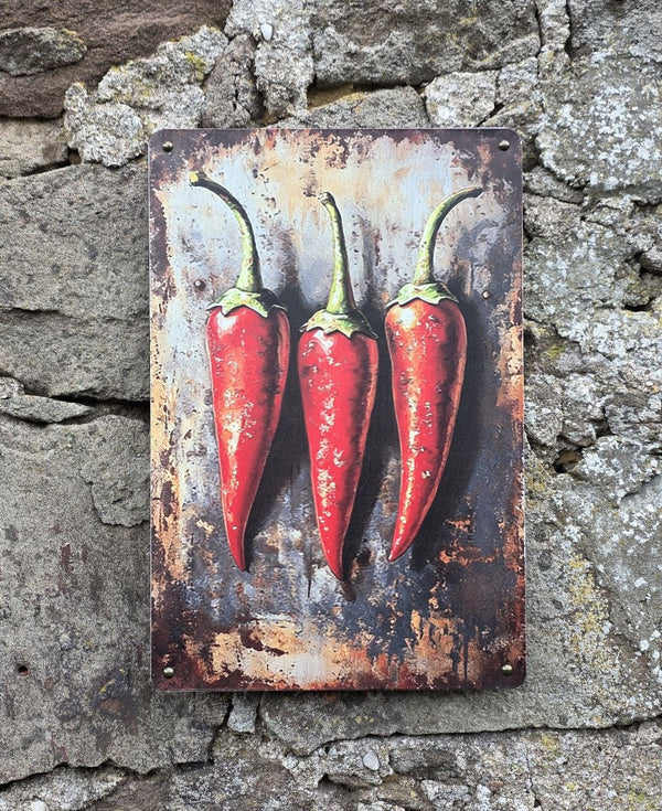 VINTAGE STYLE METAL SIGN WALL ART HANGING ON A BRICK WALL WITH THE IMAGE OF THREE CHILLIS ON IT