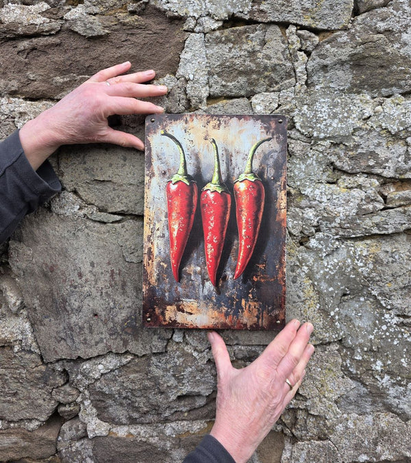 VINTAGE STYLE METAL SIGN WALL ART HANGING ON A BRICK WALL WITH THE IMAGE OF THREE CHILLIS ON IT BEING HELD UP AGAINST A BRICK WALL TO SHOW ITS SIZE