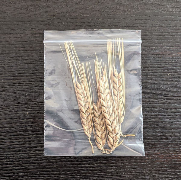DECORATIVE BARLEY SHEATHS