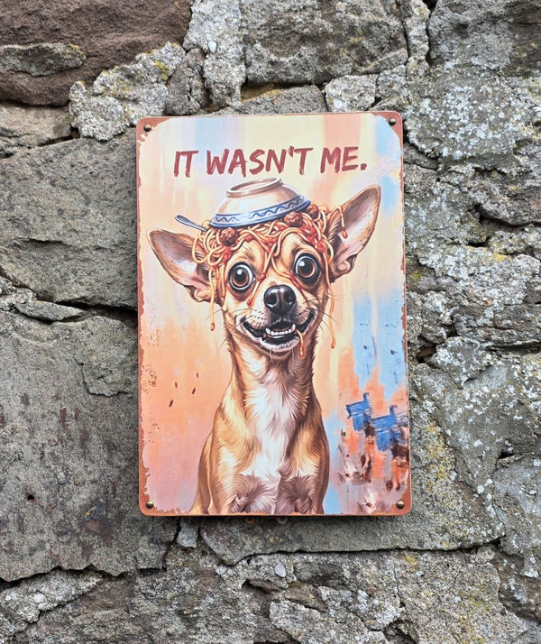 A VINTAGE STYLE METAL SIGN (REPRODUCTION) OF A  CHIHUAHUA DOG WITH AN UPTURNED BOWL OF SPAGHETTI ON ITS HEAD - DISPLAYED ON A STONE WALL