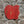 APPLE WOODEN WALL ART