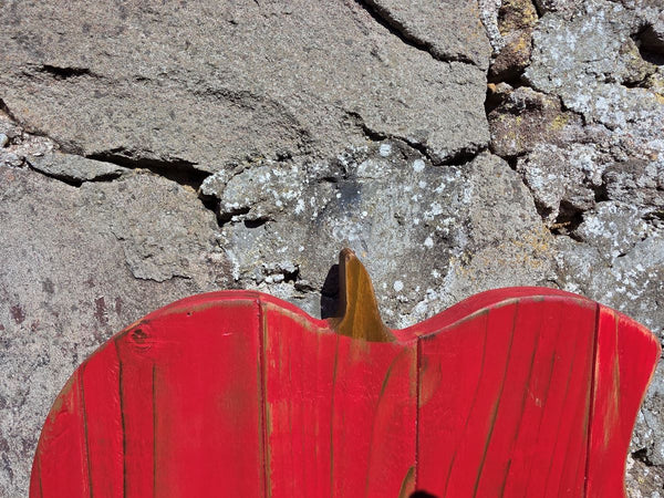 APPLE WOODEN WALL ART