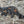 STALKING CAT WOODEN WALL ART