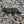 STALKING CAT WOODEN WALL ART