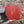 APPLE WOODEN WALL ART