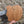 APPLE WOODEN WALL ART