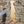 MEERKAT WOODEN WALL ART