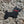 SCOTTIE DOG (SCOTTISH TERRIER) WOODEN WALL ART