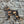 SCHNAUZER DOG WOODEN WALL ART