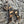 SCHNAUZER DOG WOODEN WALL ART