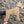 SCHNAUZER DOG WOODEN WALL ART