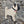 PUG DOG WOODEN WALL ART