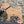 PUG DOG WOODEN WALL ART