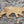 Stalking cat wooden wall art front view