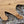 Stalking cat wooden wall art close up of front paws