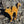 alley cat wooden wall art hanging on a stone wall side view