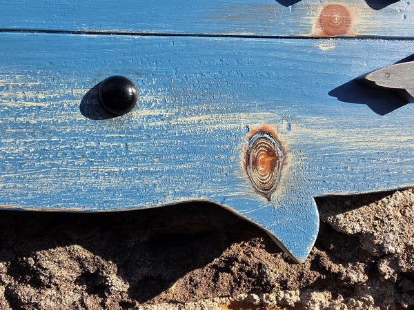 close up of the black eye & wood knots on the surface of the whale wooden wall art 