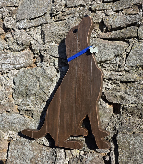 Labrador Retriever wearing a blue decorative collar & dog tag  wooden wall art hanging on a stone wall