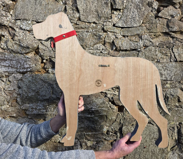Reverse side of Wooden Great Dane  dog held against a stone wall
