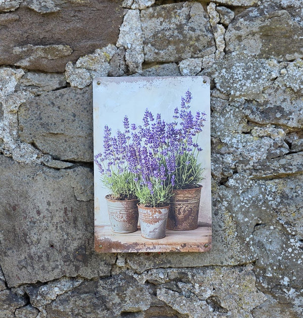 VINTAGE STYLE METAL SIGN (REPRODUCTION) POTS OF LAVENDER