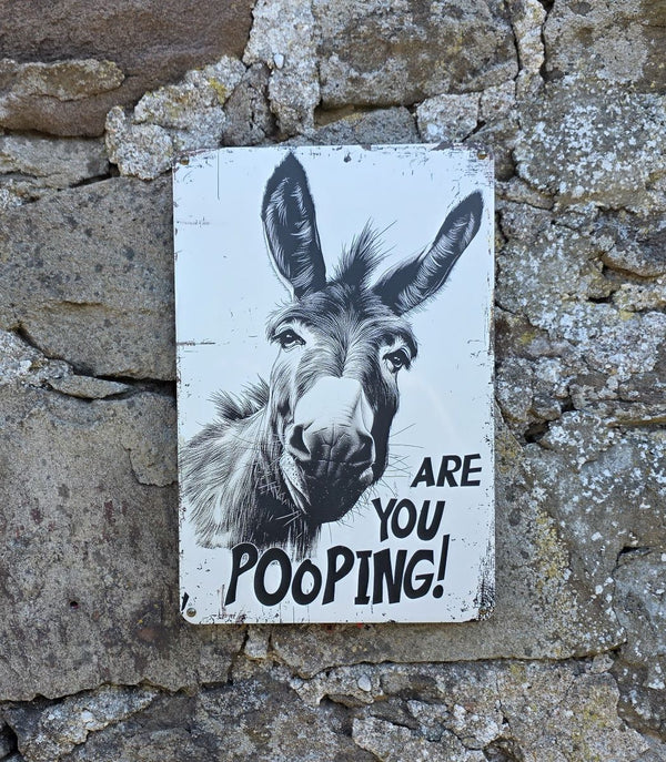 VNTAGE METAL SIGN WALL ART OF A DONKEY WITH THE TEXT  "ARE YOU POOPING" HANGING ON A STONE WALL