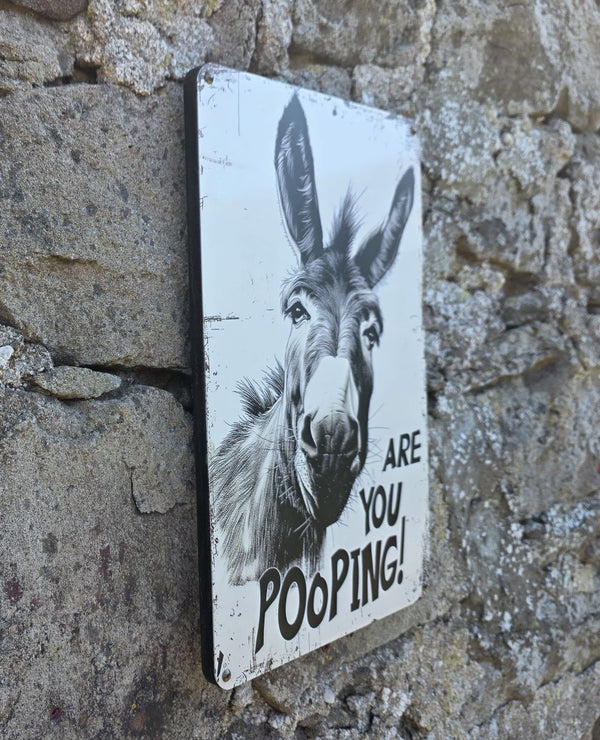 VNTAGE METAL SIGN WALL ART OF A DONKEY WITH THE TEXT  "ARE YOU POOPING" HANGING ON A STONE WALL AT AN ANGLE