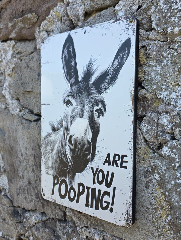 VNTAGE METAL SIGN WALL ART OF A DONKEY WITH THE TEXT  "ARE YOU POOPING" HANGING ON A STONE WALL AT A DIFFERENT ANGLE
