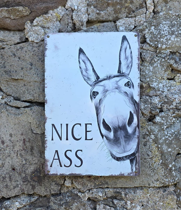 VINTAGE STYLE METAL SIGN (REPRODUCTION) NICE ASS