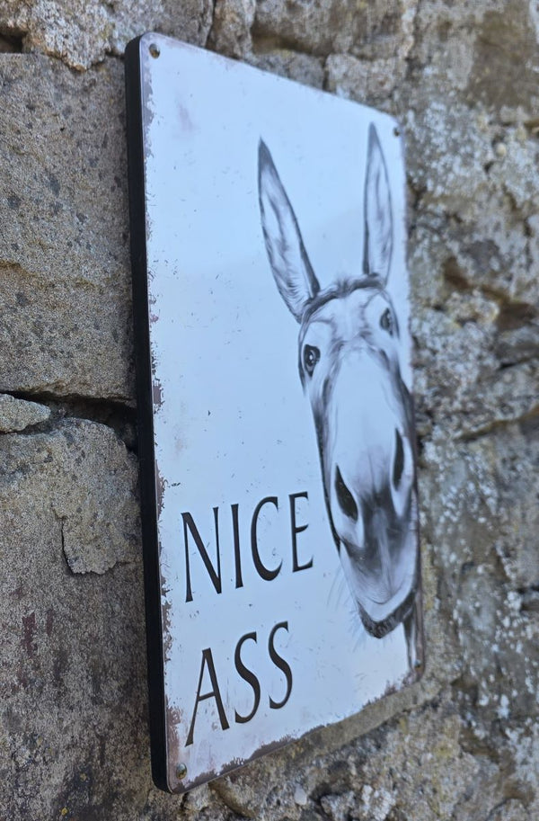 VINTAGE STYLE METAL SIGN (REPRODUCTION) NICE ASS