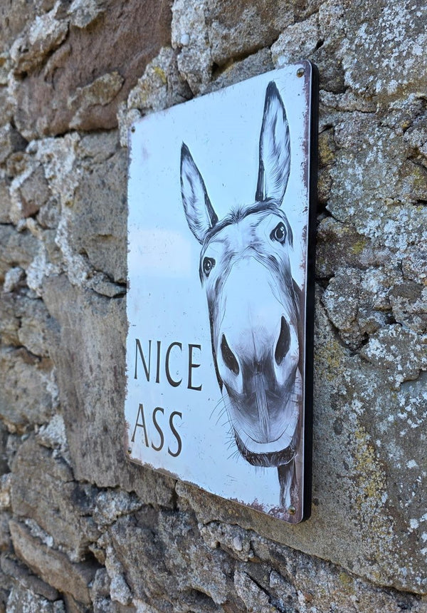 VINTAGE STYLE METAL SIGN (REPRODUCTION) NICE ASS