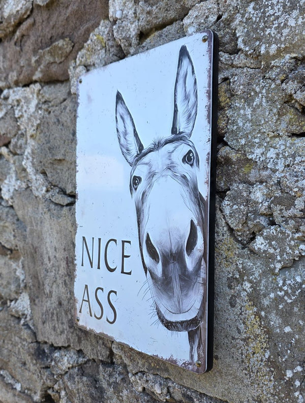 VINTAGE STYLE METAL SIGN (REPRODUCTION) NICE ASS