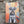 VINTAGE STYLE METAL SIGN (REPRODUCTION) SCHNAUZER DOG