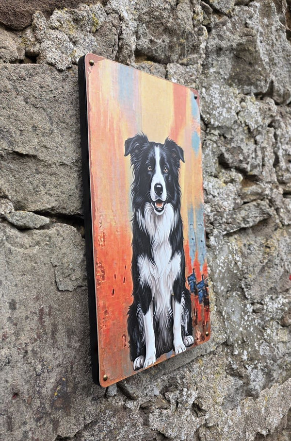 A side view of a Vintage style metal sign hanging on a stone wall with a picture on it of a Border Collie in a sitting pose