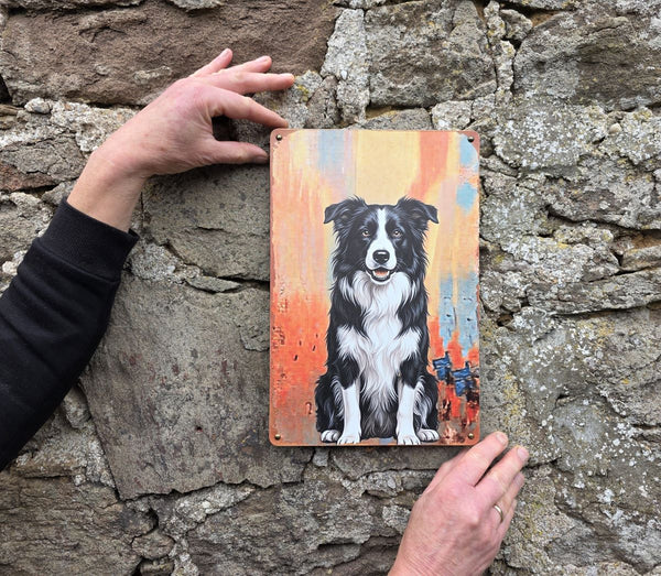  a Vintage style metal sign being held up against a stone wall to show the sizing of it, with a picture on it of a Border Collie in a sitting pose