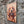 VINTAGE STYLE METAL SIGN (REPRODUCTION) COCKER SPANIEL