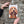VINTAGE STYLE METAL SIGN (REPRODUCTION) COCKAPOO