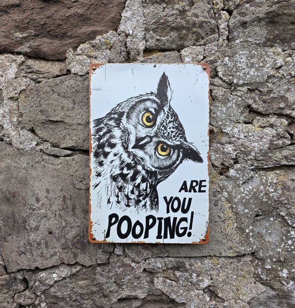 A rectangular vintage style metal sign with a distressed white background featuring a black-and-white owl image and the text 'ARE YOU POOPING!' in black. The sign is photographed against a stone wall.