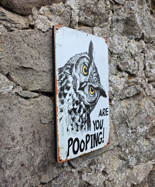 A rectangular vintage style metal sign  with a distressed white background featuring a black-and-white owl image and the text 'ARE YOU POOPING!' in black. The sign is photographed against a stone wall with a side angle view.