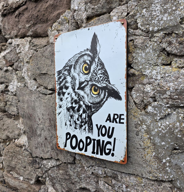 A rectangular vintage style metal sign  with a distressed white background featuring a black-and-white owl image and the text 'ARE YOU POOPING!' in black. The sign is photographed against a stone wall with a different side angle view.
