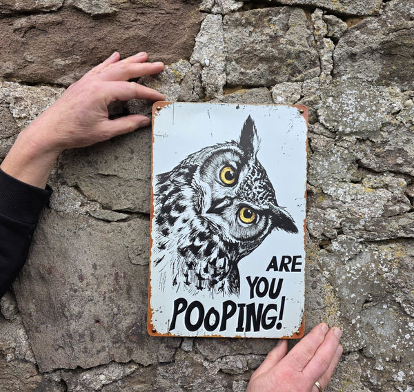 A rectangular vintage style metal sign  with a distressed white background featuring a black-and-white owl image and the text 'ARE YOU POOPING!' in black. The sign is photographed bing held up against a stone to show its sizing