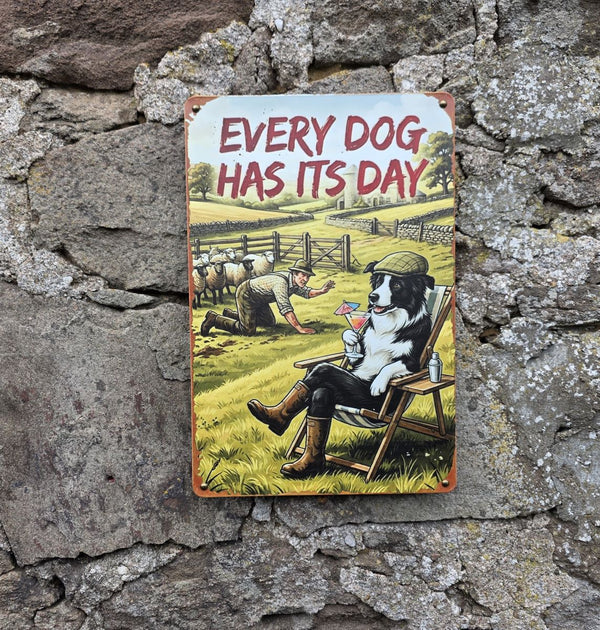 VINTAGE STYLE METAL SIGN (REPRODUCTION) EVERY DOG HAS ITS DAY