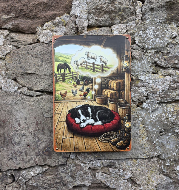 VINTAGE STYLE METAL SIGN (REPRODUCTION) DREAMING DOG