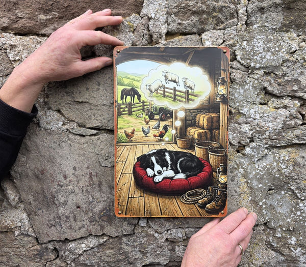 VINTAGE STYLE METAL SIGN (REPRODUCTION) DREAMING DOG