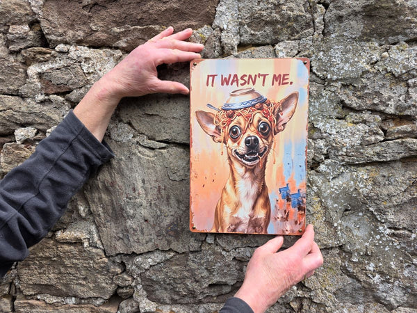 A VINTAGE STYLE METAL SIGN (REPRODUCTION) OF A  CHIHUAHUA DOG WITH AN UPTURNED BOWL OF SPAGHETTI ON ITS HEAD - BEING HELD UP AGAINST A STONE WALL O SHOW ITS SIZING