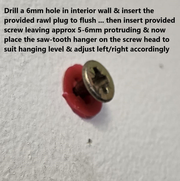 Screw & Rawl plug fixing with instructions for hanging on a wall
